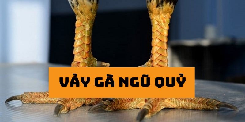 3 dấu hiệu nhận biết vảy ngũ quỷ