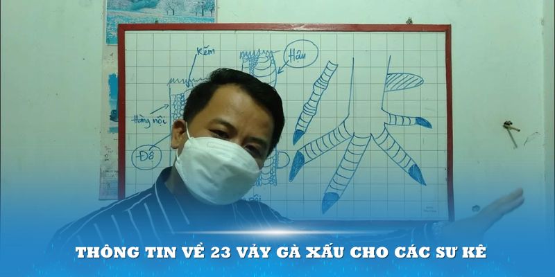 Giới thiệu một số thông tin về 23 vảy gà xấu cho các sư kê 